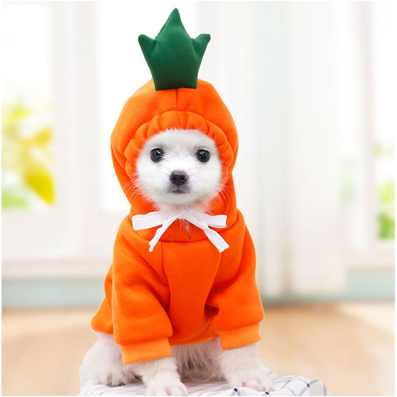 Winter Clothing Pictures - かわいいフルーツ犬服小型犬用パーカー暖かいペット服子犬猫コスチュームコートフレンチチワワジャケットスーツ