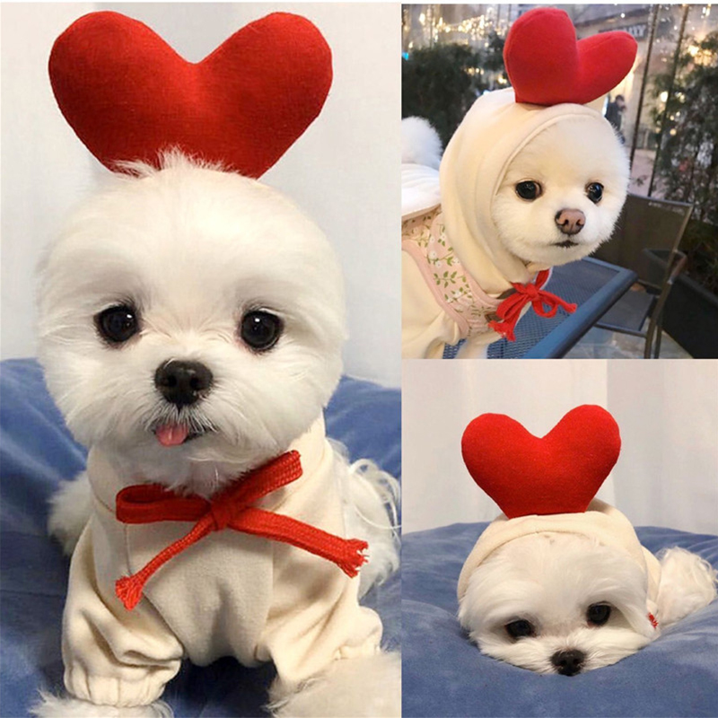 かわいいフルーツ犬服小型犬用パーカー暖かいペット服子犬猫コス - Winter Clothing Pictures のレビューと価格